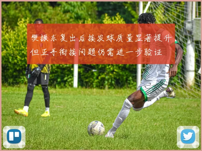 樊振东复出后接发球质量显著提升但正手衔接问题仍需进一步验证
